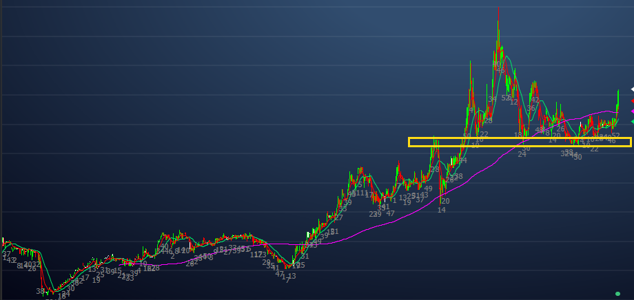 Gráfico de Preços no Longo Prazo da Grazziotin com marcação de Suporte